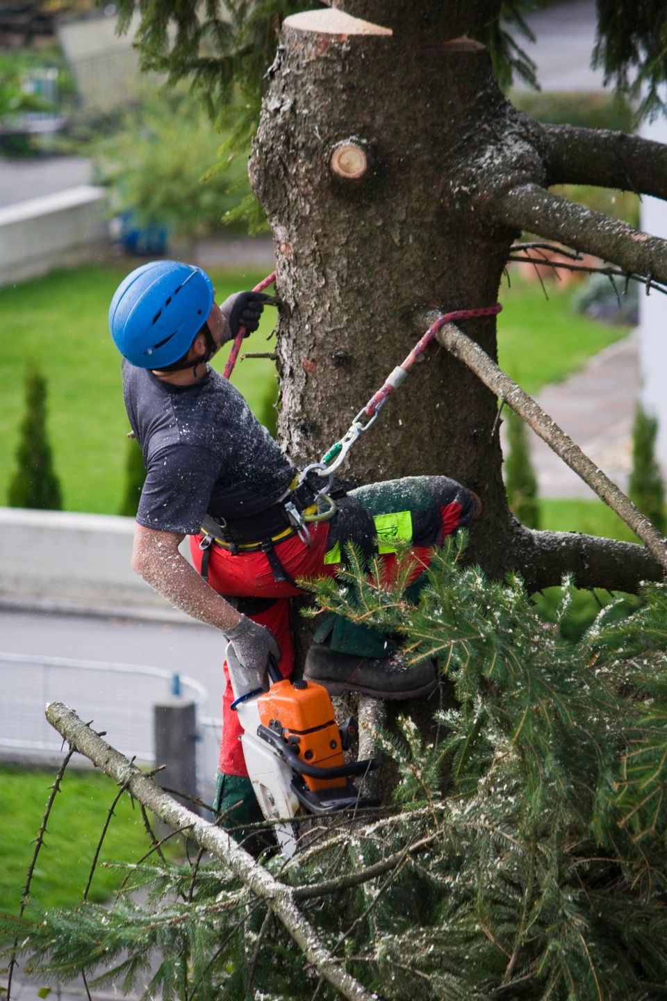 CANMORE OUTDOOR POWER EQUIPMENT LTD